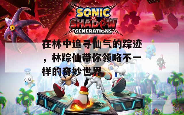 在林中追寻仙气的踪迹，林踪仙带你领略不一样的奇妙世界