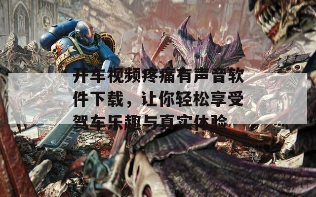 开车视频疼痛有声音软件下载，让你轻松享受驾车乐趣与真实体验