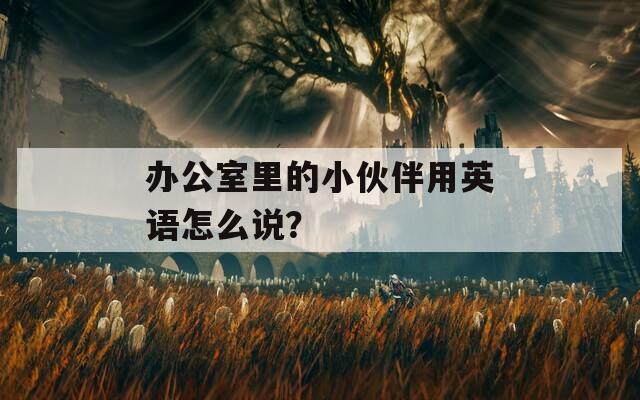 办公室里的小伙伴用英语怎么说？