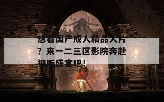 想看国产成人精品大片？来一二三区影院奔赴视听盛宴吧！