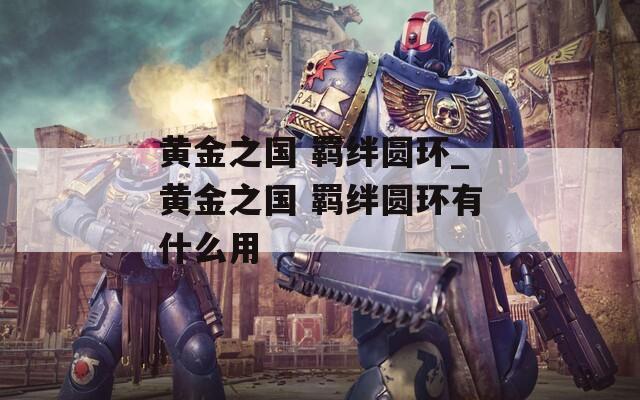 黄金之国 羁绊圆环_黄金之国 羁绊圆环有什么用